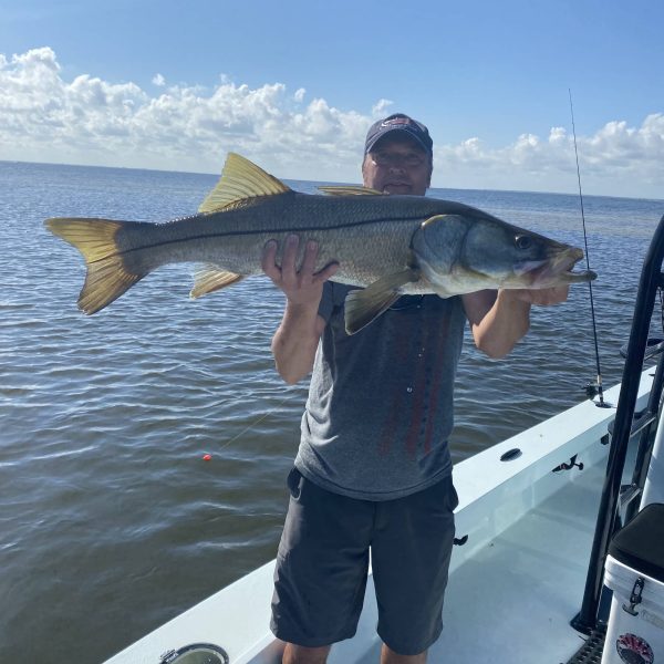Giant Snook